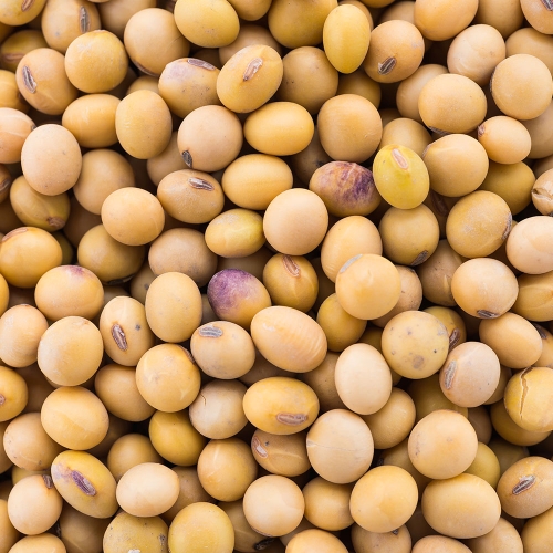 Proteínas de soya