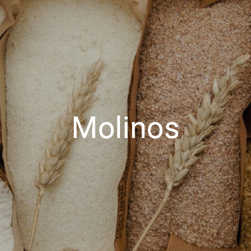 Molinos