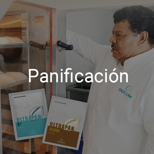 Panificación