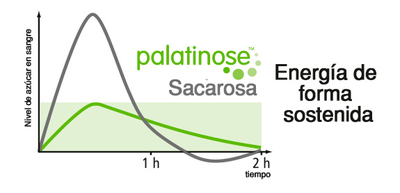 Palatinose™  el único carbohidrato de lenta liberación de glucosa