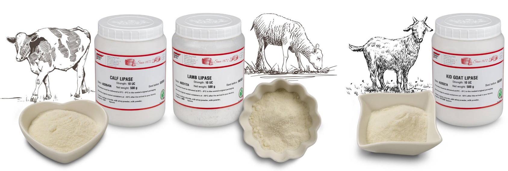 LIPASAS CLERICI