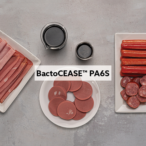 BactoCEASE™ PA6S - Conservante para productos cárnicos